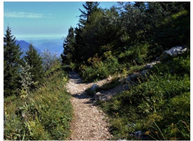 Grenoble Sud Varces Suite Privatisee Au Pied Des Montagnes Zewnętrze zdjęcie